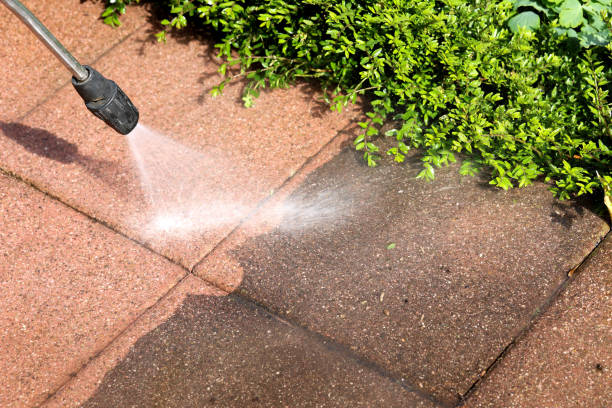 Best Roof Pressure Washing  in Haviland, NY